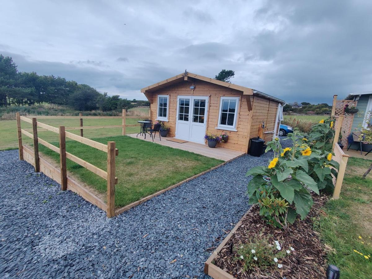 Bumble Bee Cabin Bootle  Extérieur photo