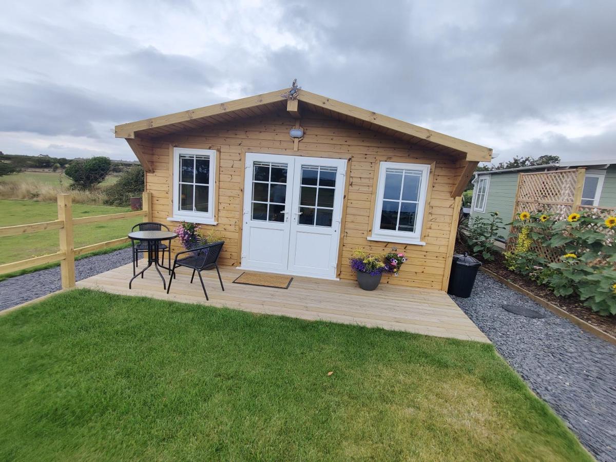 Bumble Bee Cabin Bootle  Extérieur photo